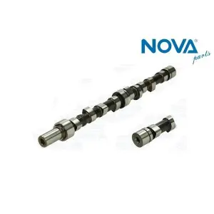 047109101R EKSANTRİ̇K Mİ̇Lİ̇ - FAVORİT-FELİCİA