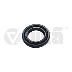 096323981P Şanzıma Rulmanı Bora Golf Caddy Passat Cc-Octavıa