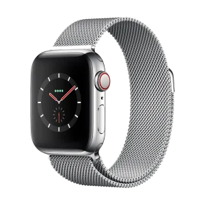 Piili Apple Watch Manyetik Metal Örgülü 38/40/41 mm Kayış Gümüş
