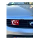 Türk Bayrağı Pleksi Panjur Arması Vidalı
