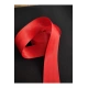 Renkli Emniyet Kemeri Kolonlu 15 Metre 5 Kemer Için (BAYRAK KIRMIZI)5 Adet E Sertifika Hediyelidir
