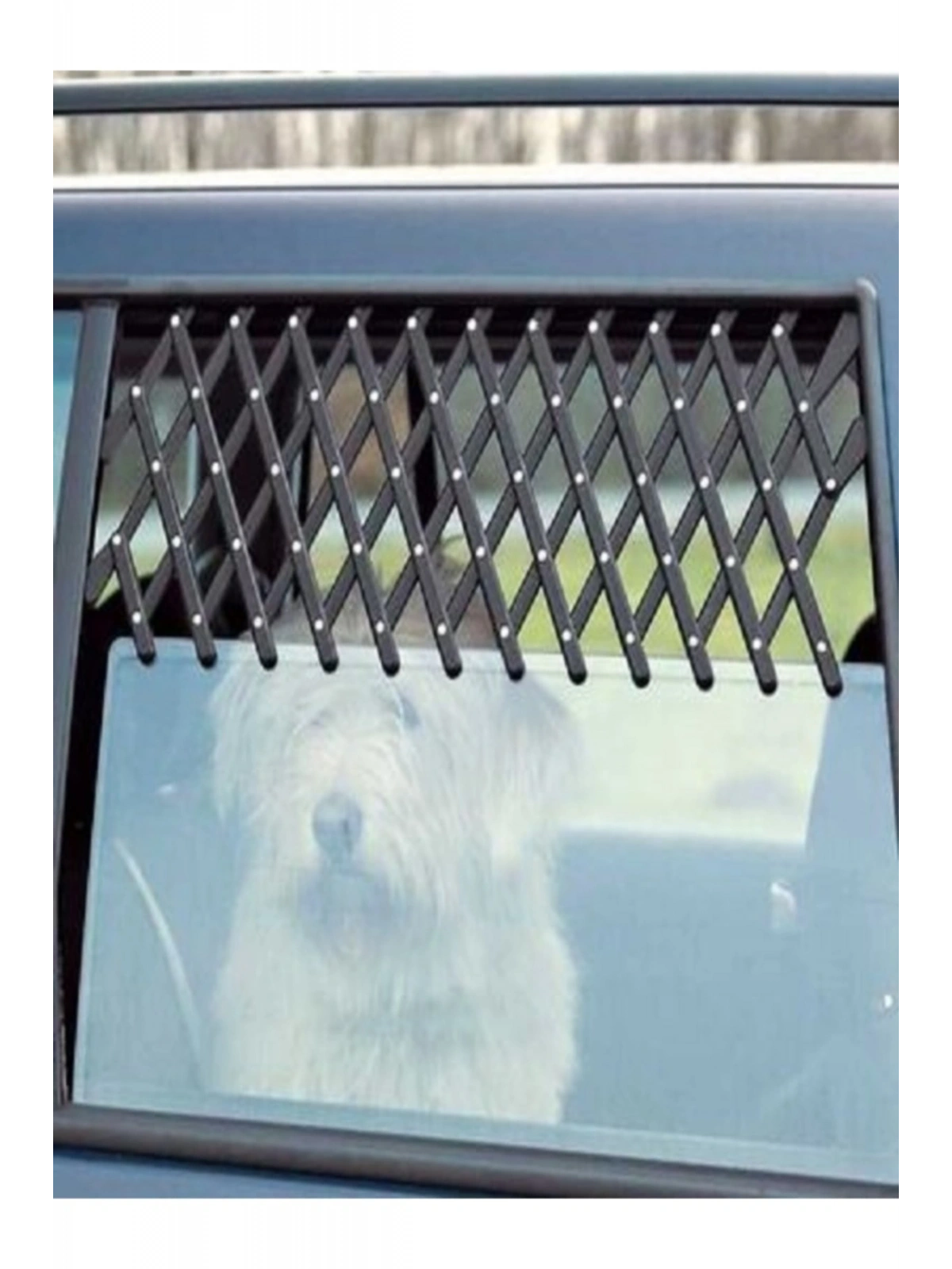 Tofaş Köpek Izgara, Tofaş Cam Izgarası, Tofaş Cam Rüzgarlık, 1 Adet