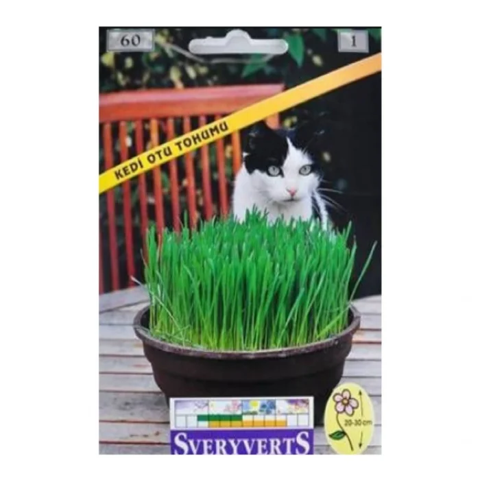 Sveryverts Kedi Otu Tohumu