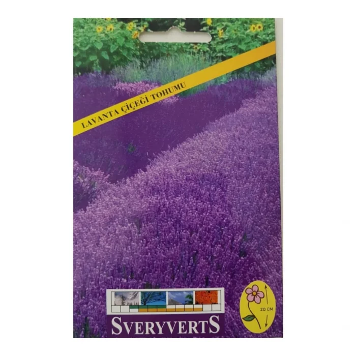 Sveryverts Lavanta Çiçeği Tohumu