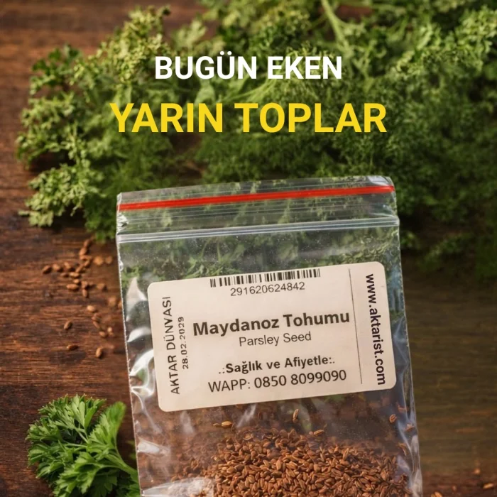 Aktarist Maydanoz Tohumu - Evinde Yaşam Başlat