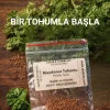 Aktarist Maydanoz Tohumu - Evinde Yaşam Başlat