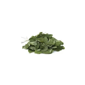 Aktarist Epimedyum Yaprak