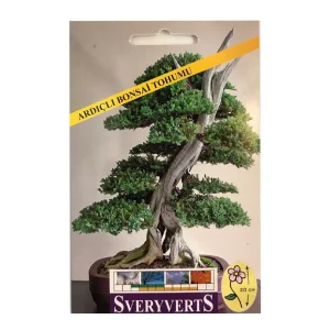 Sveryverts Ardıçlı Bonsai Tohumu