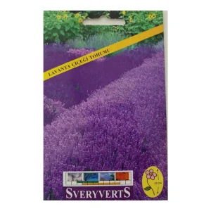 Sveryverts Lavanta Çiçeği Tohumu