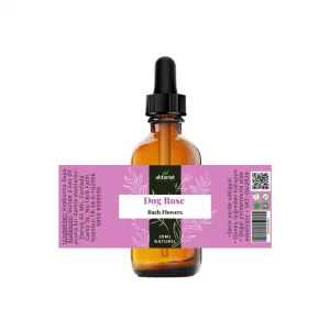 Dog Rose  - Bach Flowers Water 20Ml