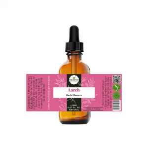 Larch  - Bach Flowers Water 20Ml