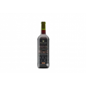 Motus Deep Oil Derin Doku Yağı 250Ml