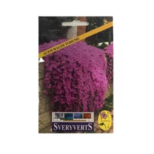 Sveryverts Acem Halısı Tohumu