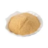 Aktarist Ginseng Kırmızı Toz