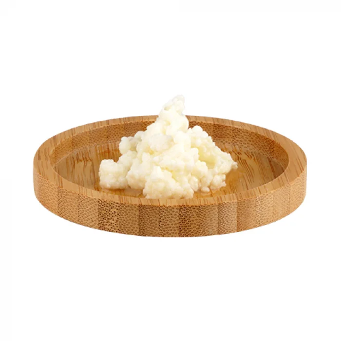 Aktarist Kefir Mayası 20ml