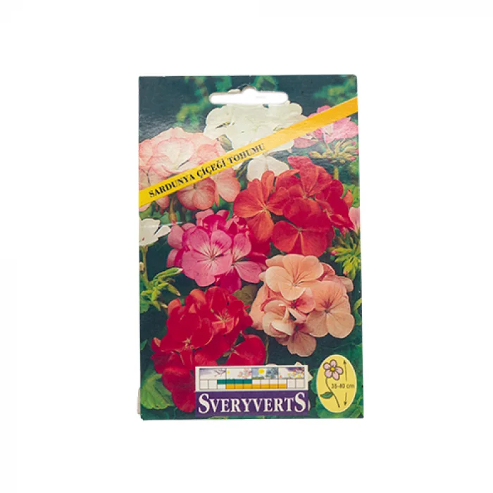 Sveryverts Sardunya Çiçeği Tohumu