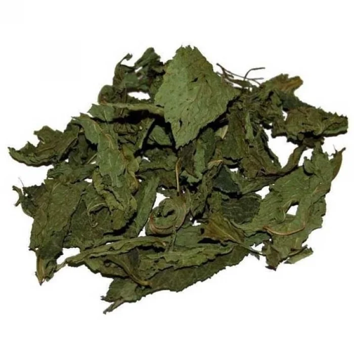 Aktarist Molehiye
