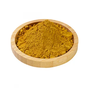 Aktarist Maggi Baharatı