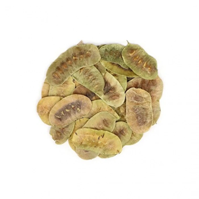 Aktarist Açlık Otu - Aşruk - Devegözü 40gr.