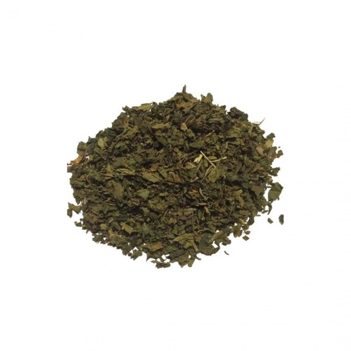 Aktarist Isırgan Yaprağı 2