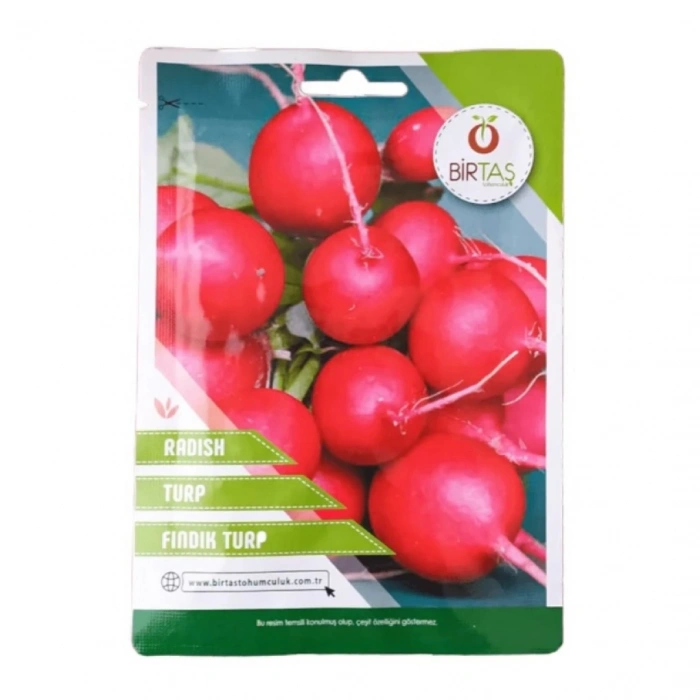 Birtaş Fındık Turp Tohumu