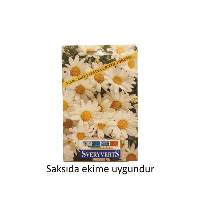 Sveryverts Margarit Papatya Çiçeği Tohumu