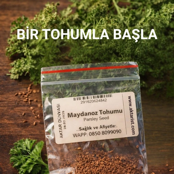 Aktarist Maydanoz Tohumu - Evinde Yaşam Başlat