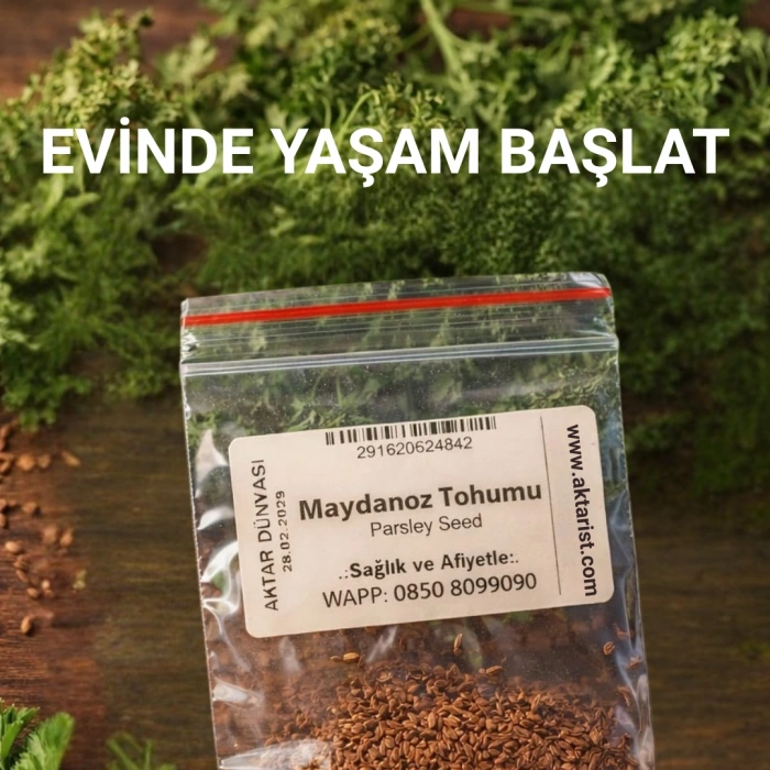 Aktarist Maydanoz Tohumu - Evinde Yaşam Başlat