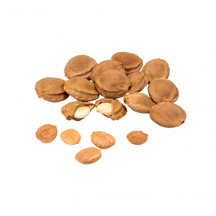 Acı Kayısı Çekirdeği