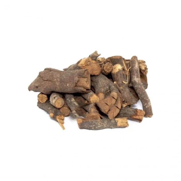 Aktarist Böğürtlen Kökü