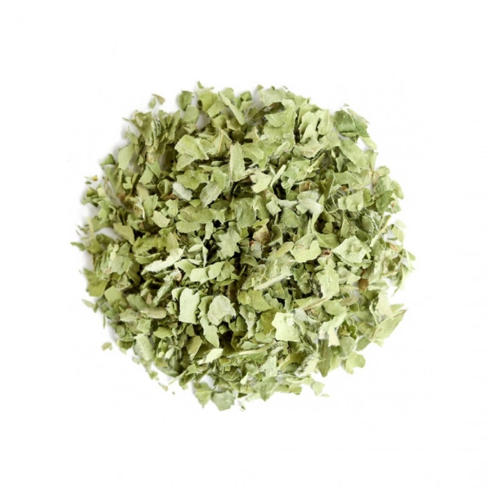 Aktarist Düz Yapraklı Aslanpençesi