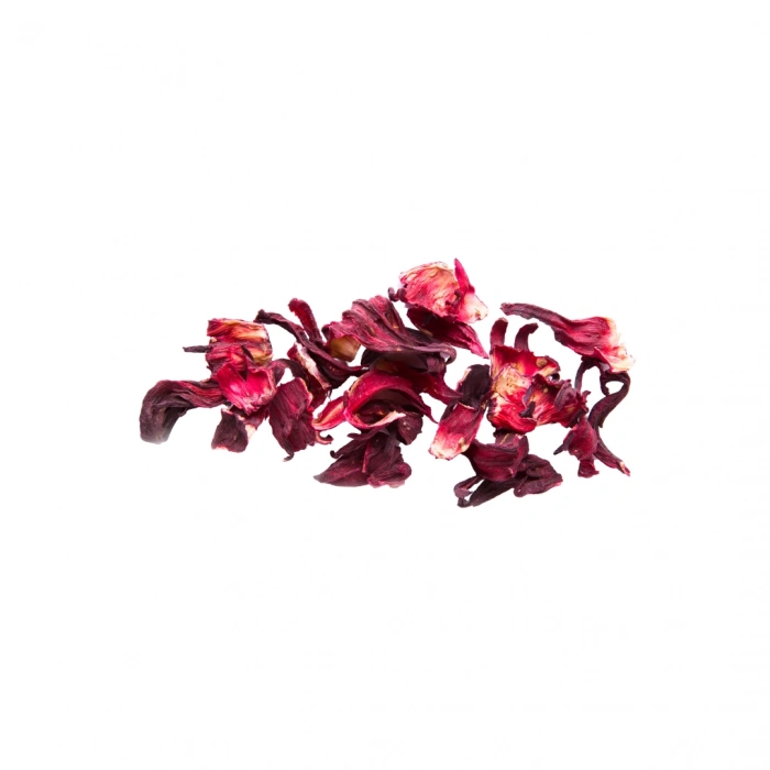 Aktarist Hibiskus Pembe