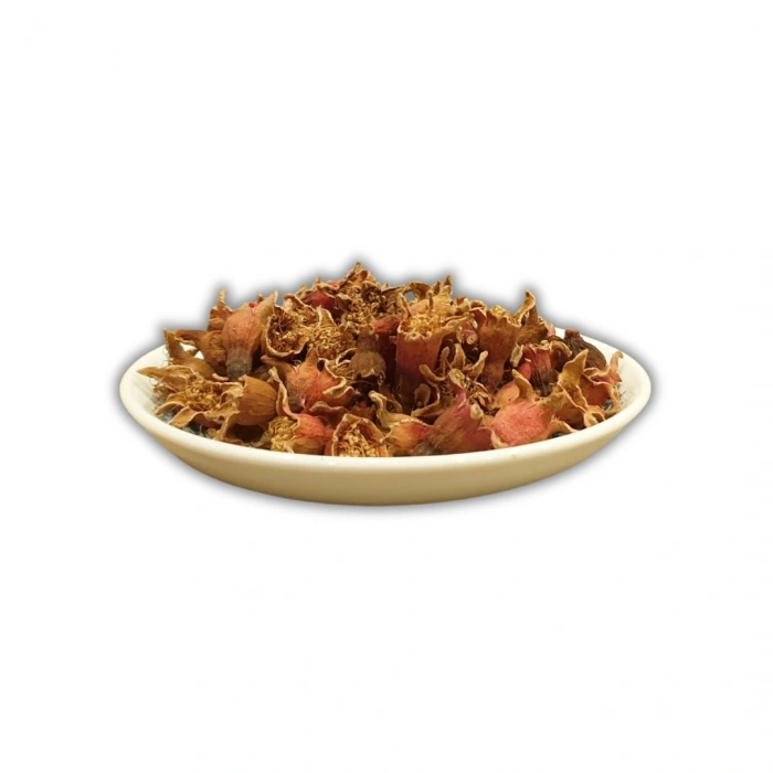 Aktarist Nar Çiçeği