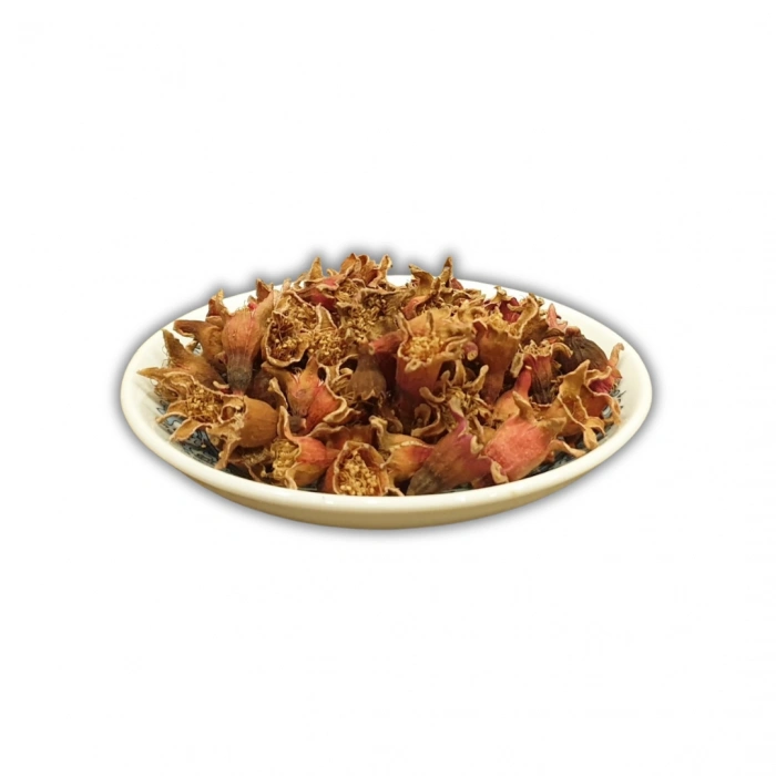 Aktarist Nar Çiçeği