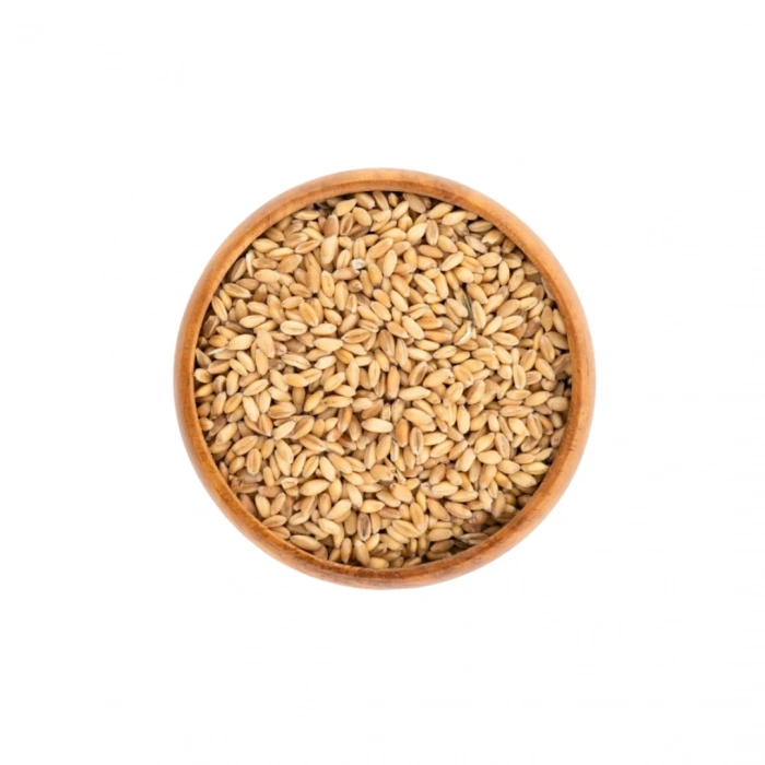 Aktarist Organik Diş Buğday Hediklik