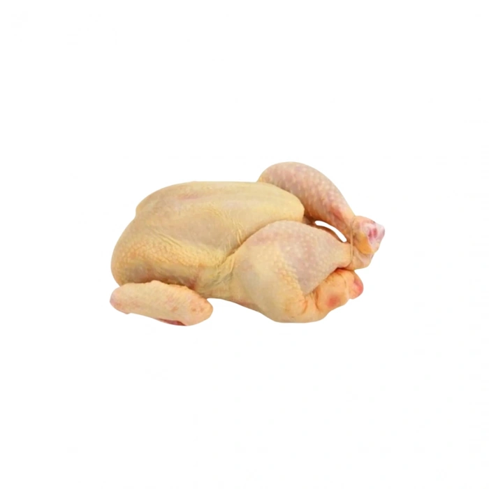 Aktarist Organik Gezen Köy Tavuğu