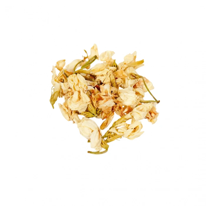 Aktarist Sarı Yasemin Çiçeği