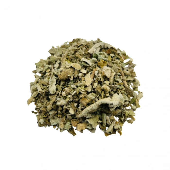 Aktarist Sığır Kuyruğu Çiçek