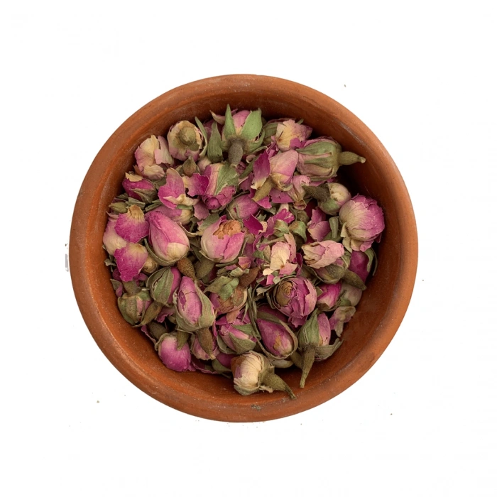 Aktarist Tomurcuk Gül - Pembe