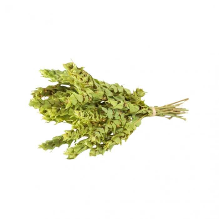 Aktarist Yayla Adaçayı - Anamur Çayı