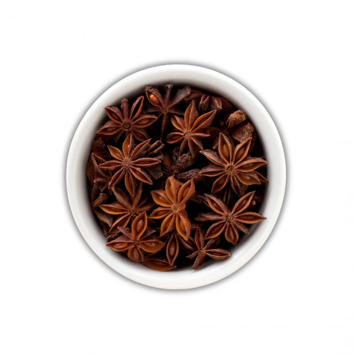 Aktarist Yıldız Anason