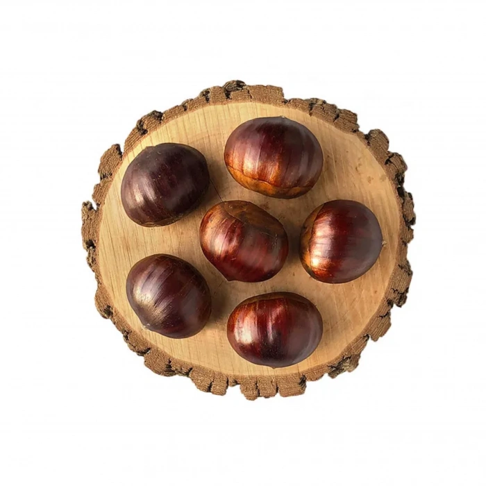 Aydın Duble İri Kestane