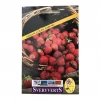 Sveryverts Osmanlı Çilek Tohumu