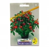 Sveryverts Renkli Süs Biberi Tohumu