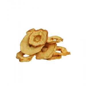 Aktarist Elma Kurusu