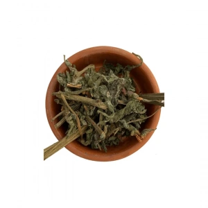 Aktarist Karakafes Otu - Eşek Kulağı - Mayasıl Otu