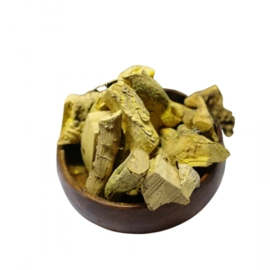 Aktarist Karamuk Kökü - Kadın Tuzluğu Kökü