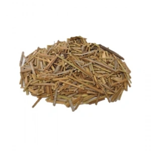 Aktarist Kayışkıran Otu - Eşek Otu