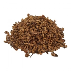 Aktarist Nar Çekirdeği