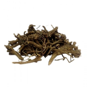 Aktarist Ödül Kahır Otu